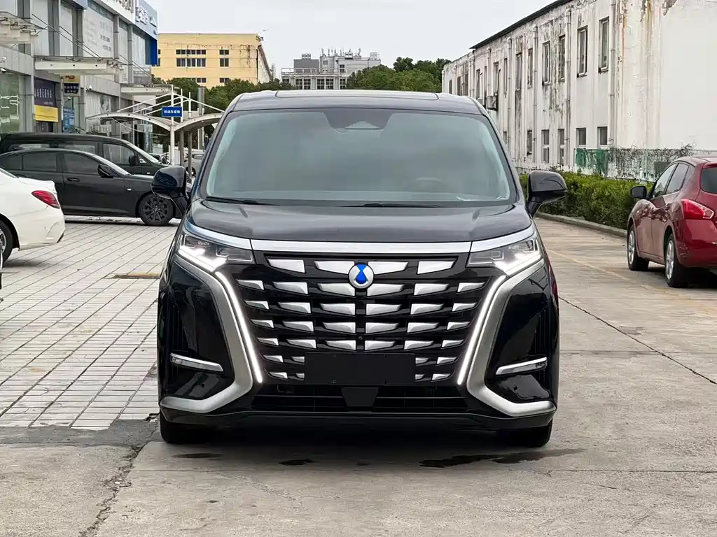 Denza Denza D9 — миниатюра 2