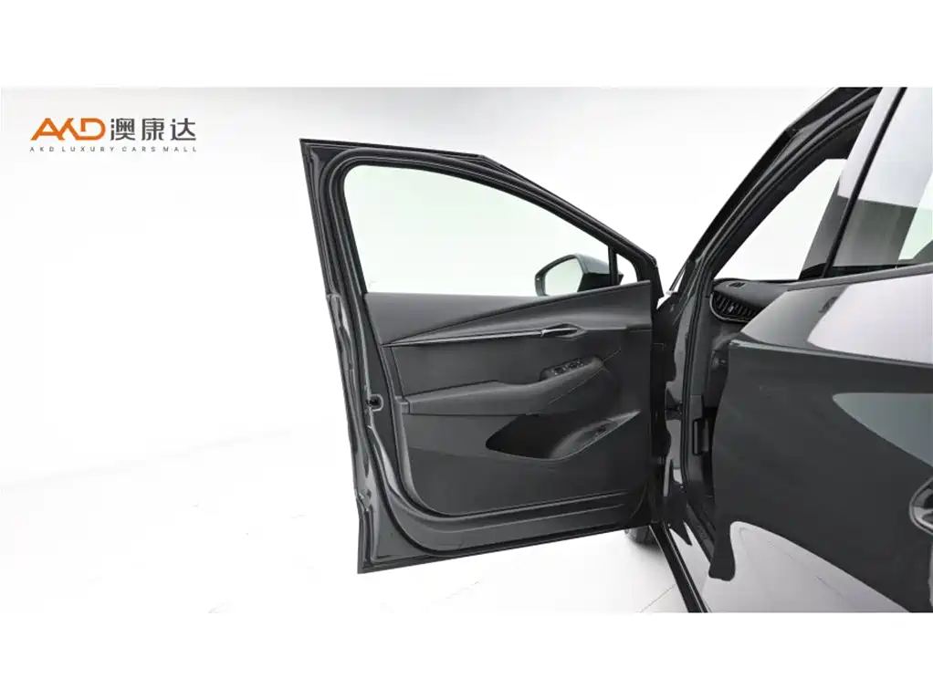 VOLKSWAGEN WITH THE CROWD 06