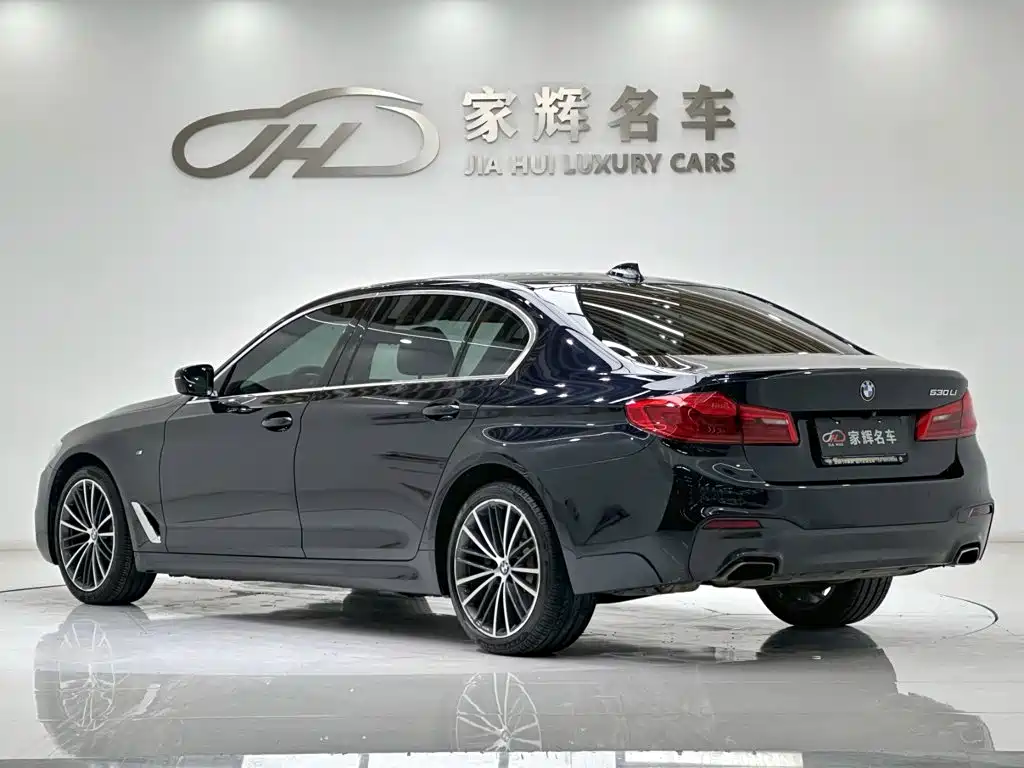BMW 5 Series — миниатюра 5