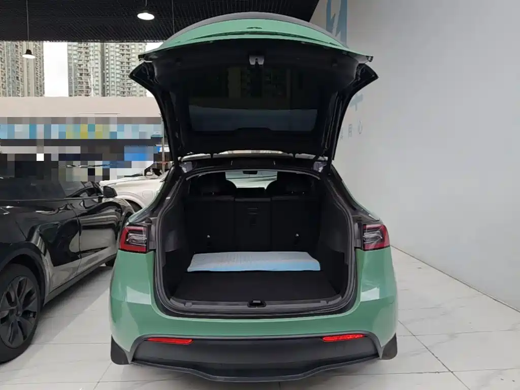 Tesla Model Y — миниатюра 19