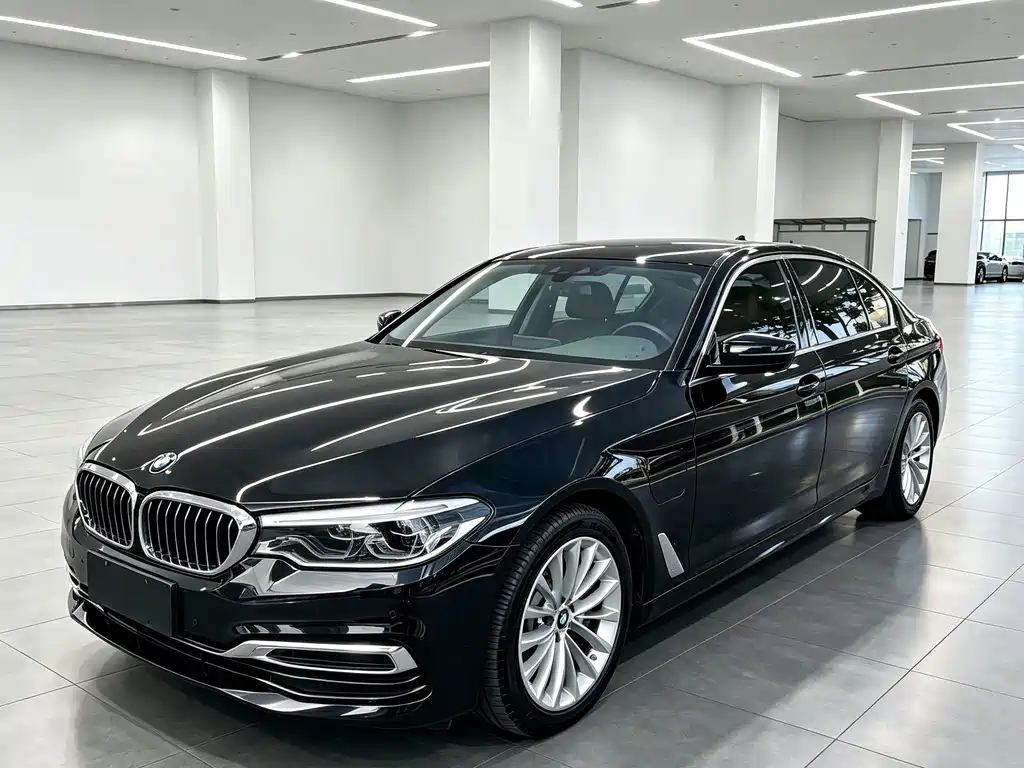 BMW 5 Series New Energy