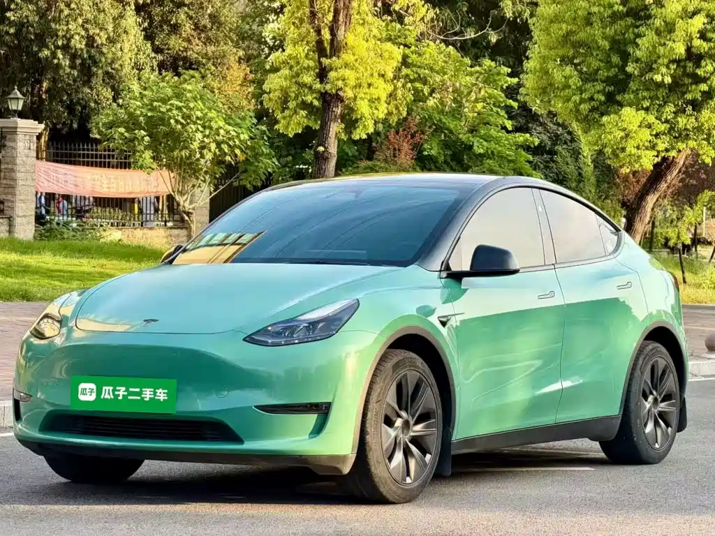 Tesla Model Y — миниатюра 2