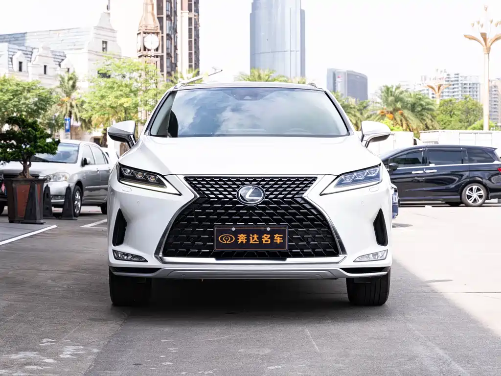 Lexus RX 2020 300 Elegant VI