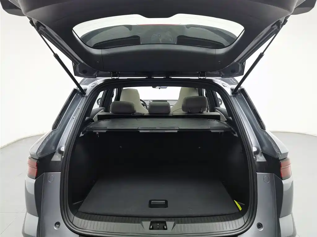 BYD SONGJIANG NEW ENERGY