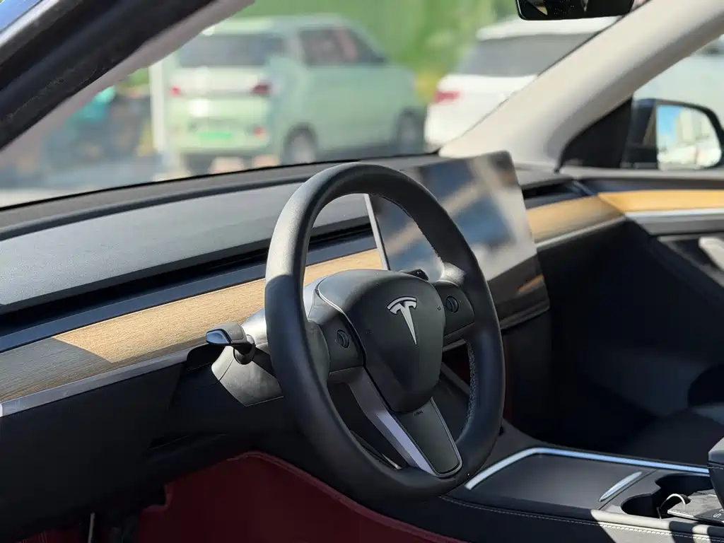 Tesla Model Y — миниатюра 4