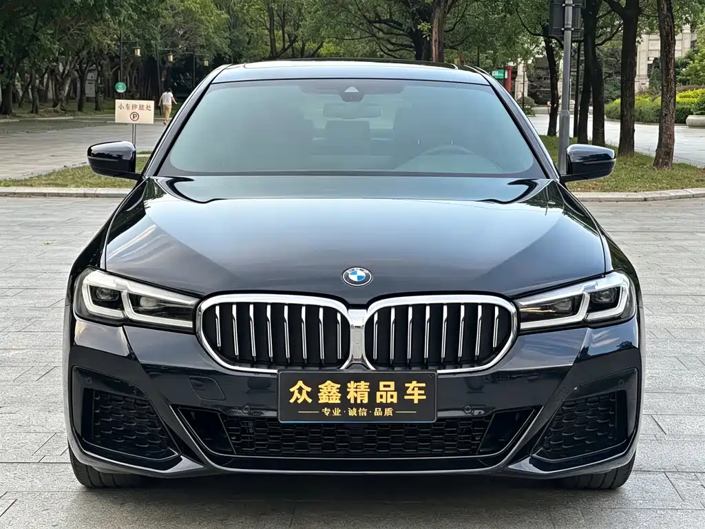 BMW 5 Series — миниатюра 2
