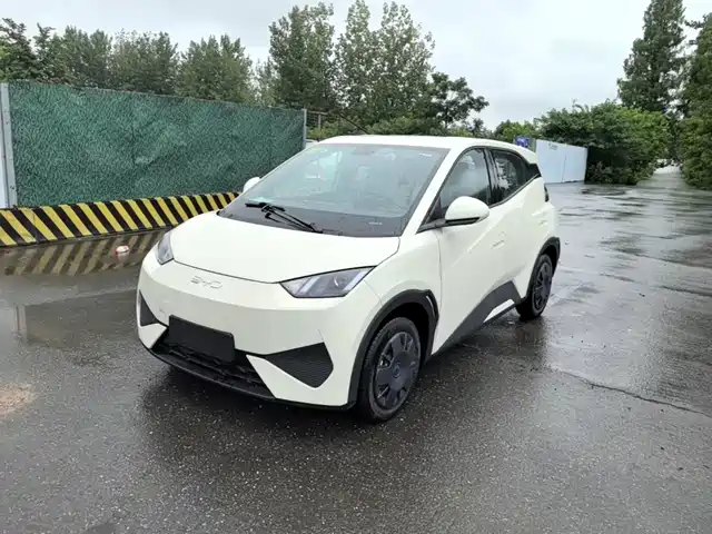 2026 BYD Seagull