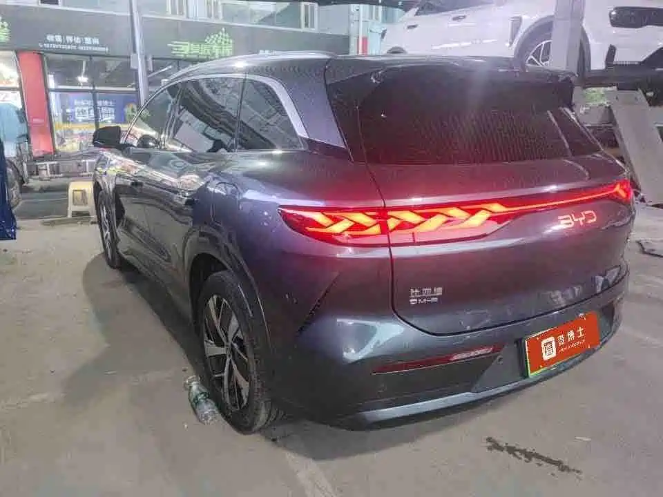 BYD Дон Л. — миниатюра 4