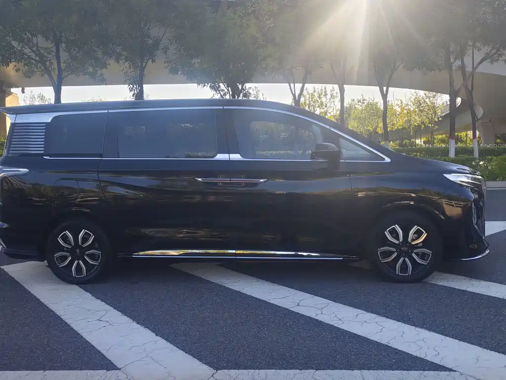 Hongqi Hongqi HQ9 — миниатюра 13