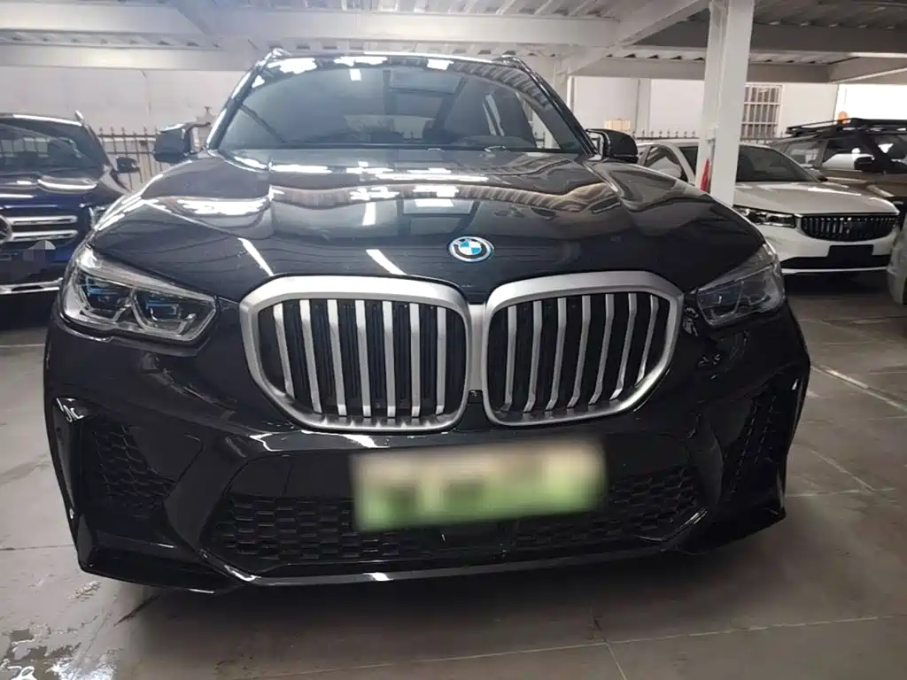 BMW X5 New Energy (Import) — миниатюра 3