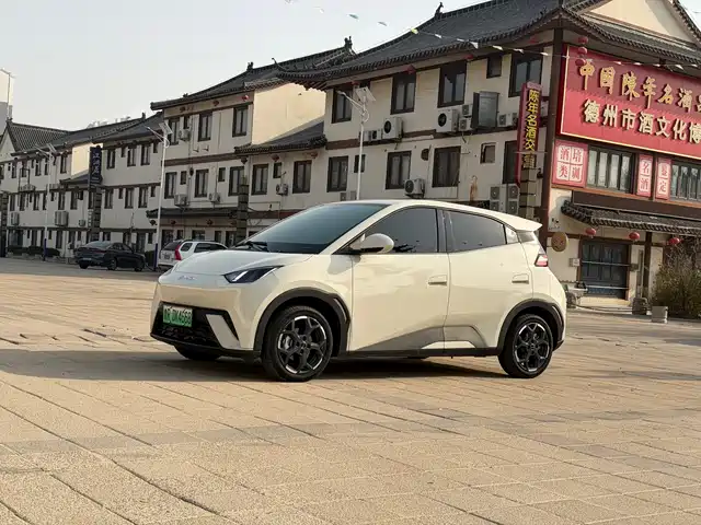 BYD SEAGULL 2025