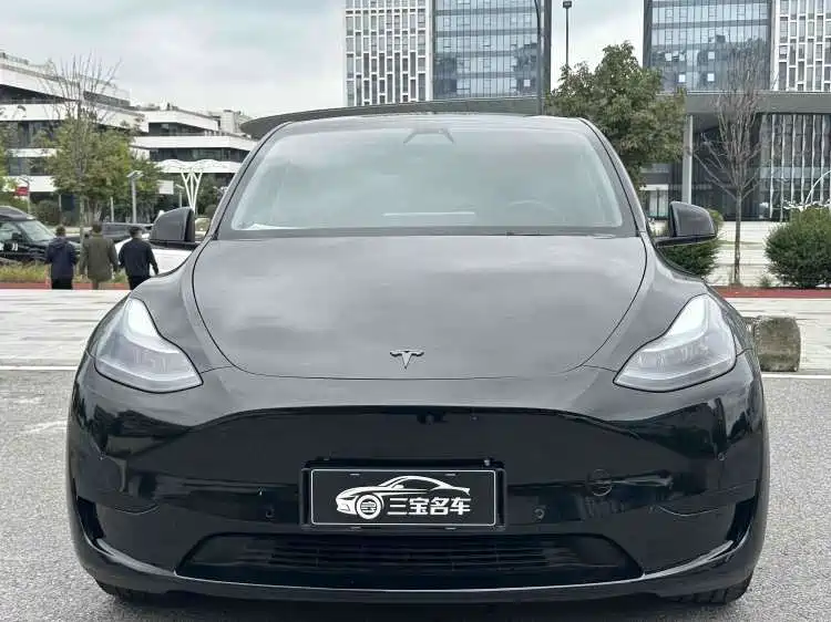 Tesla Model Y — миниатюра 2