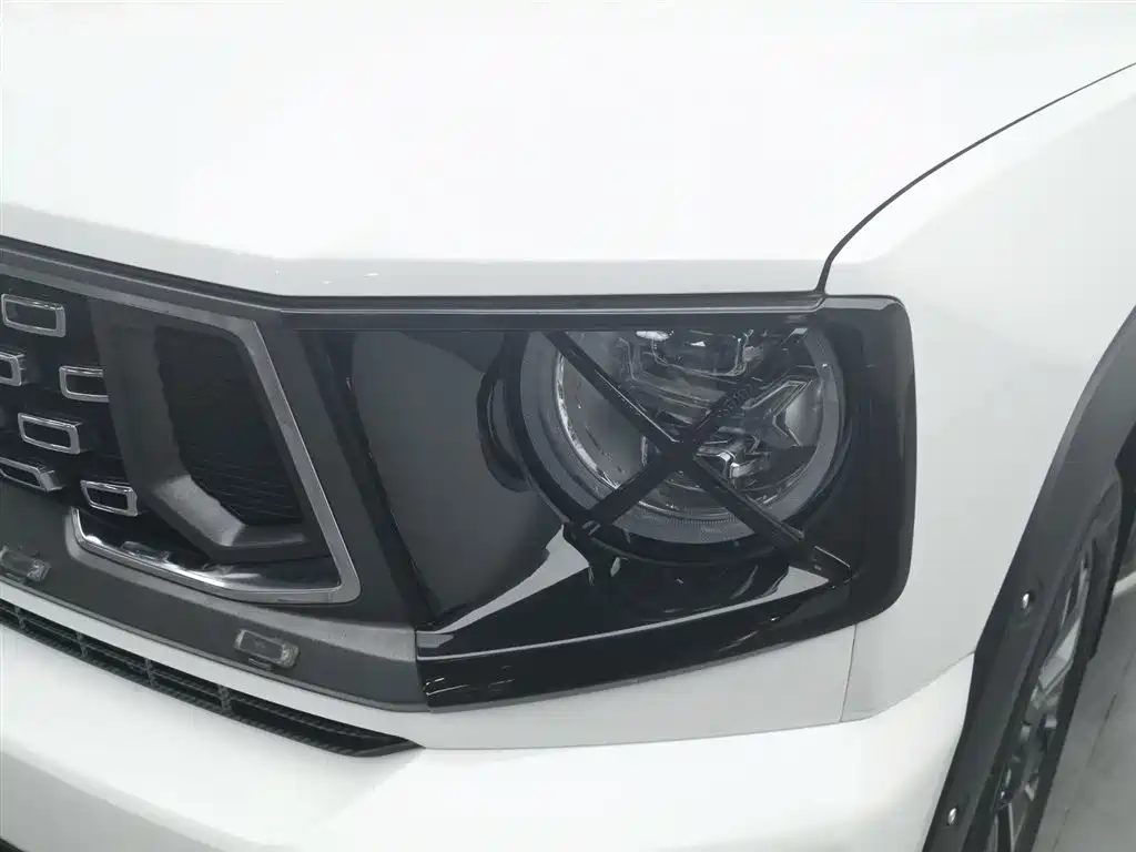 HAVAL SECOND GENERATION BIG DOG NEW ENERGY