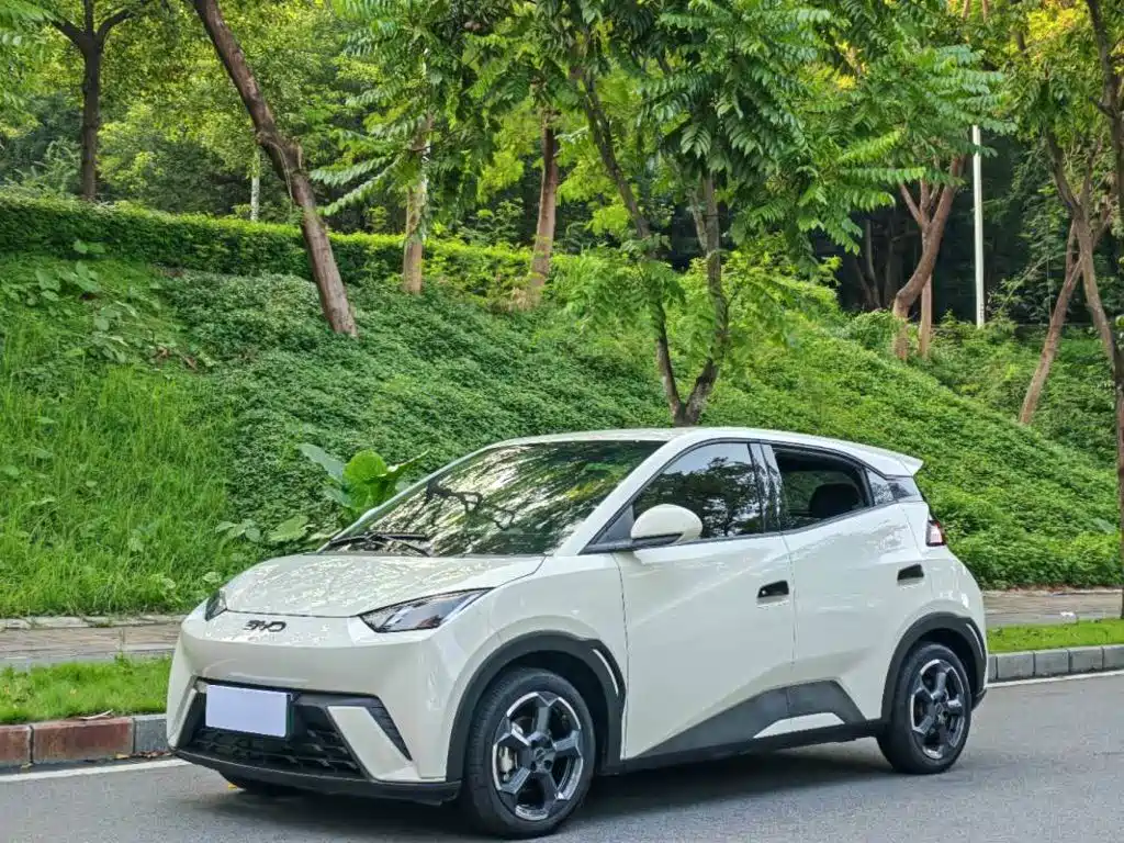 BYD Seagull