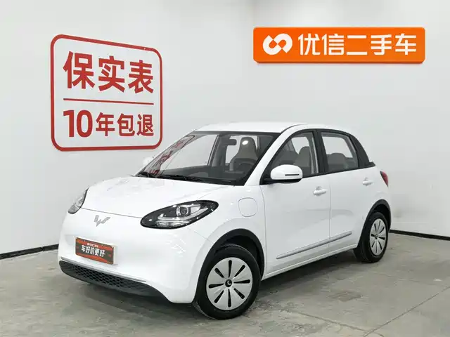 WULING WULING BINGGUO 2024