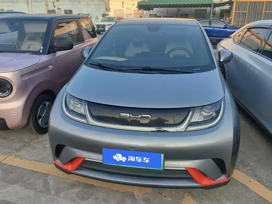 BYD DOLPHIN