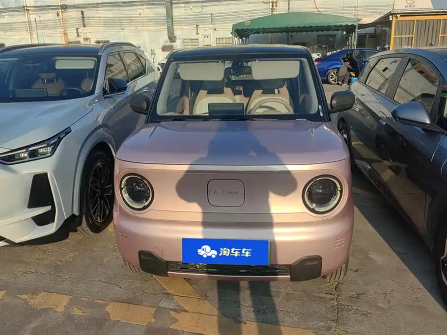GEELY GALAXY PANDA