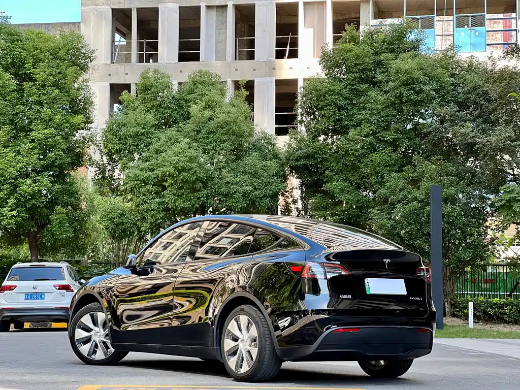 Tesla Model Y — миниатюра 24