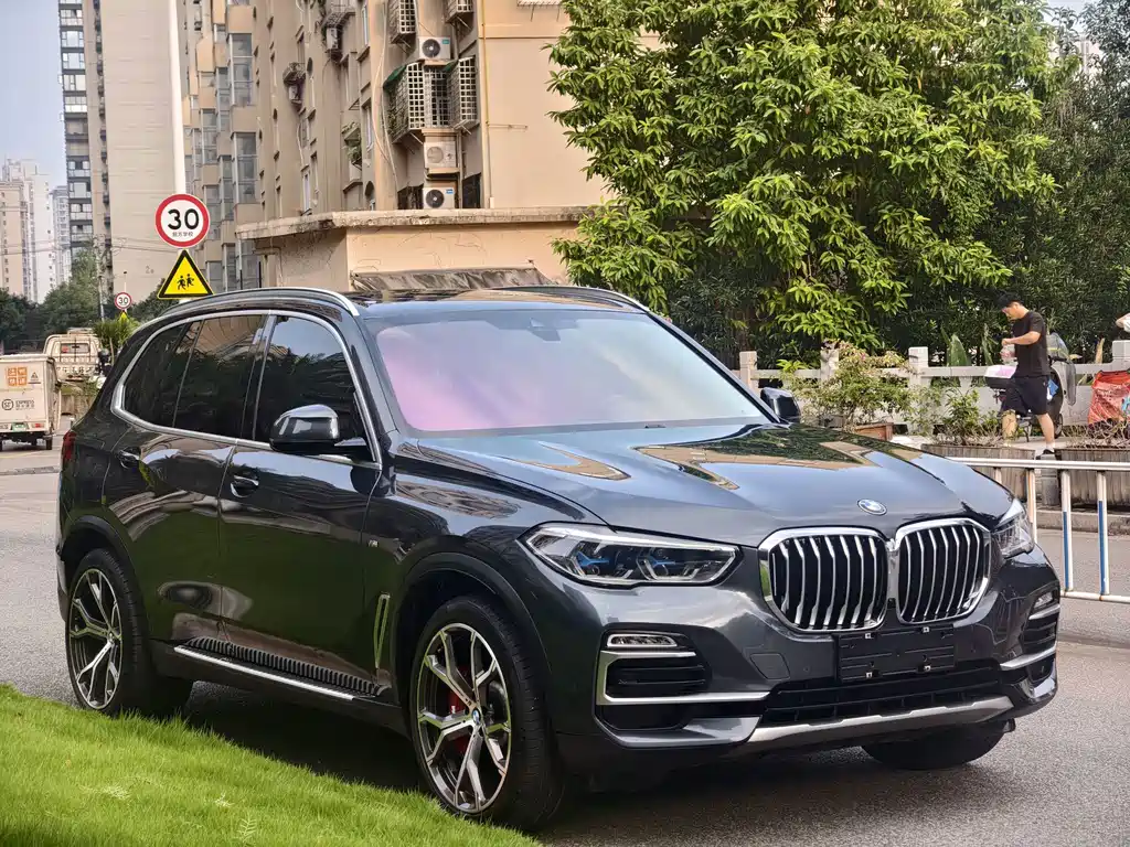 BMW X5 (Import) — миниатюра 2