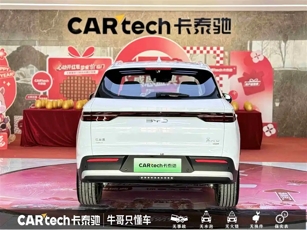 BYD SONGJIANG NEW ENERGY