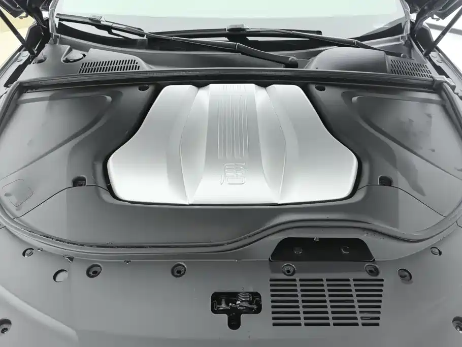 BYD Tang New Energy — миниатюра 10