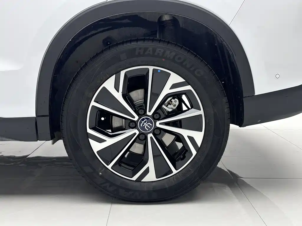 BYD SONGJIANG NEW ENERGY