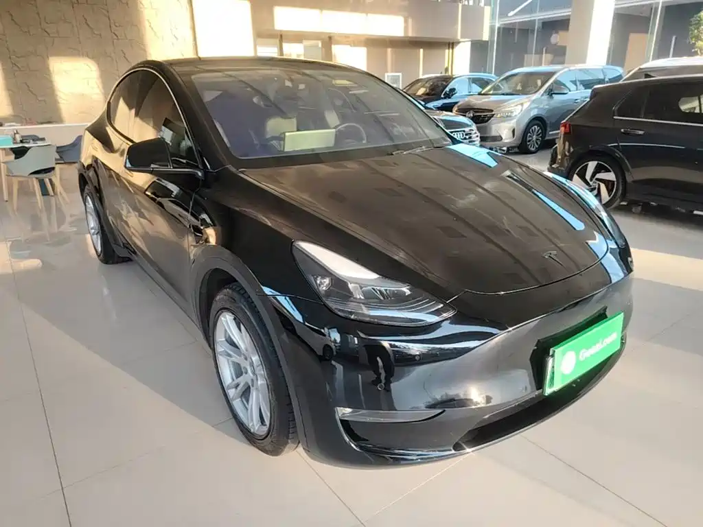 Tesla Model Y — миниатюра 4