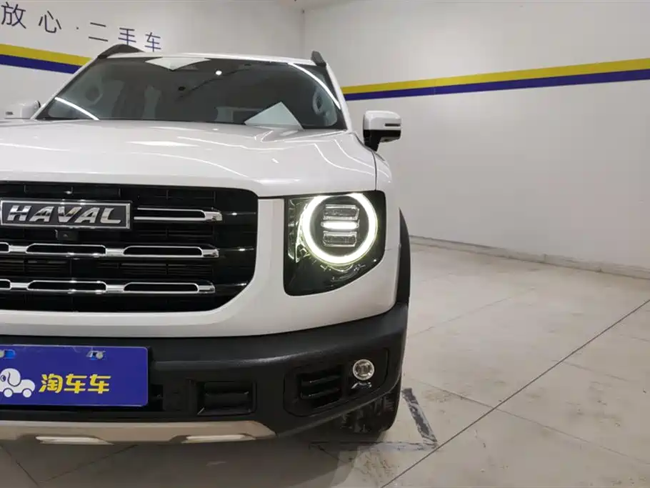 HAVAL BIG DOG