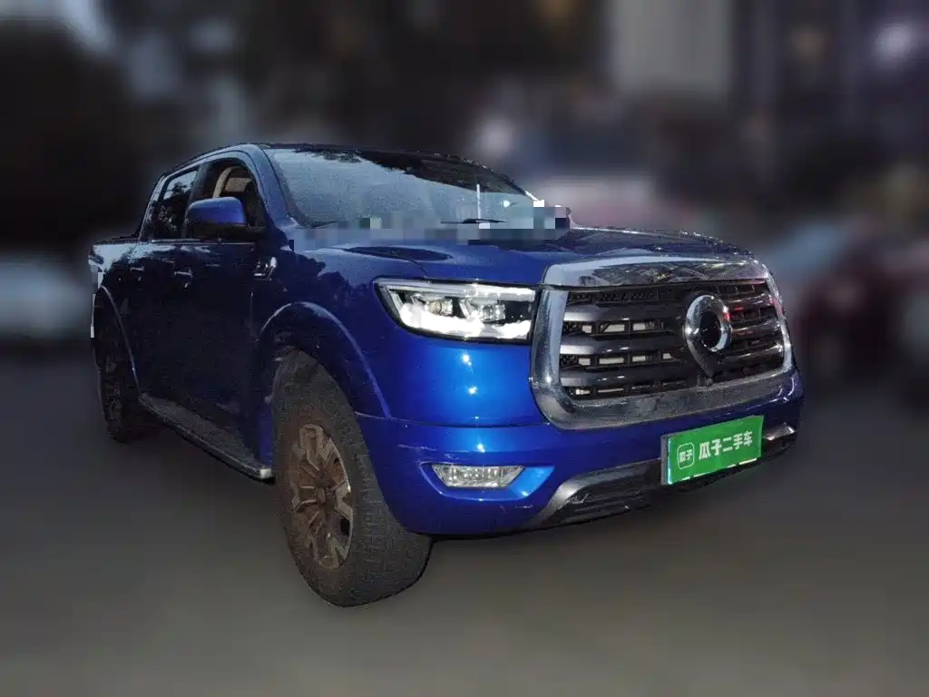 Great Wall Pao — миниатюра 24