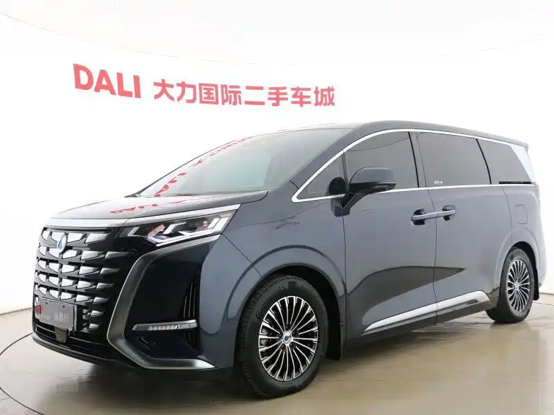 Denza Denza D9