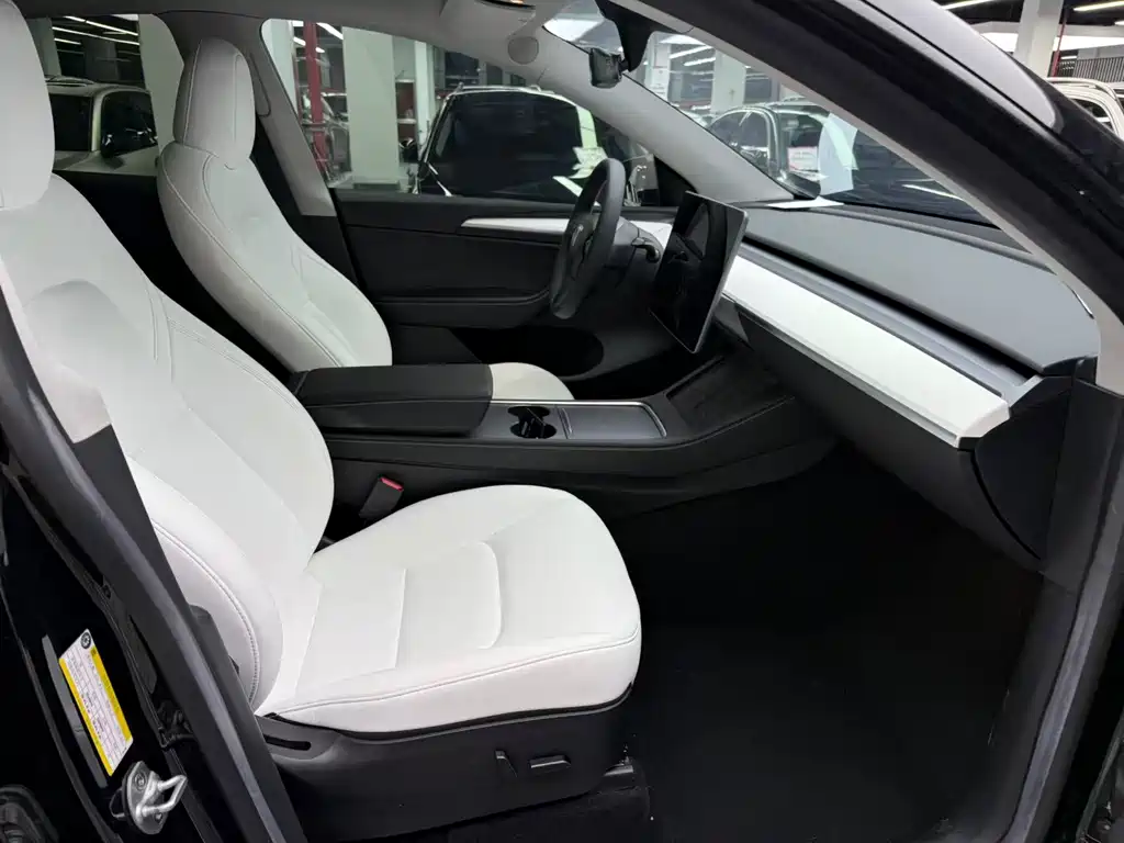 Tesla Model Y — миниатюра 8