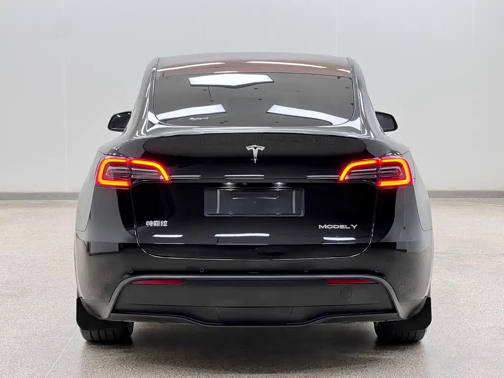 Tesla Model Y — миниатюра 5