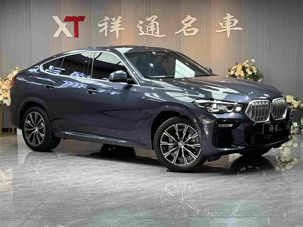 BMW X6 2021 xDrive30i M Sport