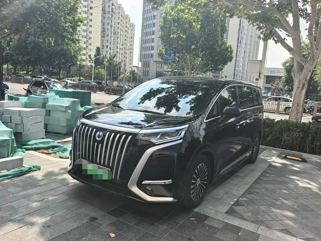 腾势D9 2024款 EV 600 四驱尊贵型