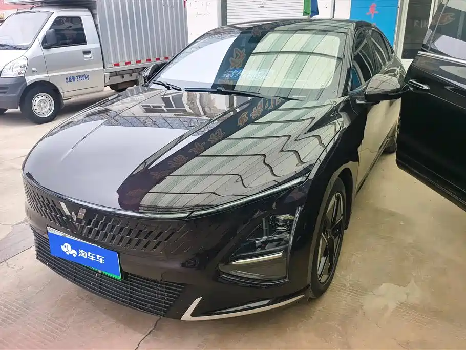 Wuling Xingguang 2024