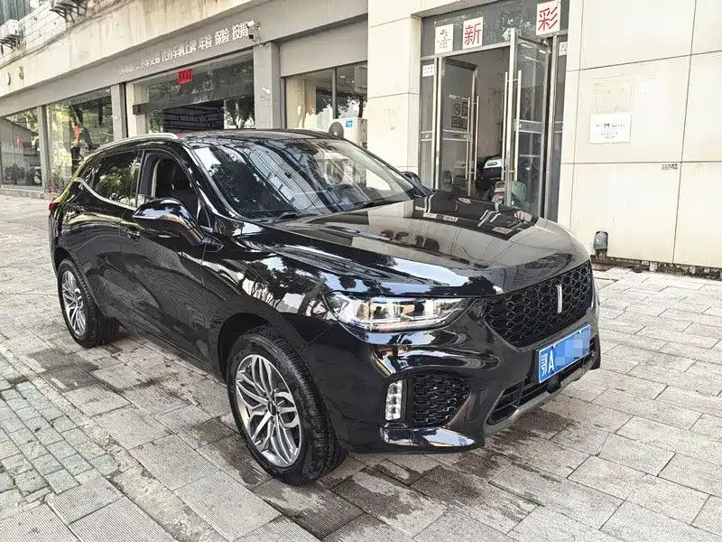 WEI PAI WEI BRAND VV5