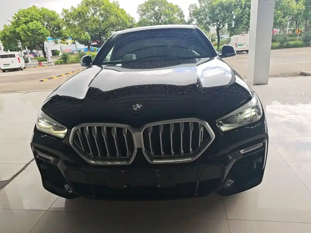 BMW X6 2020 xDrive30i M Sport