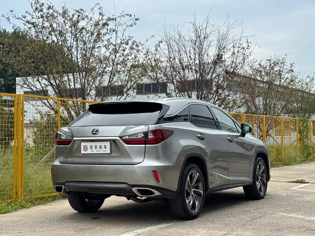 Lexus RX — миниатюра 10