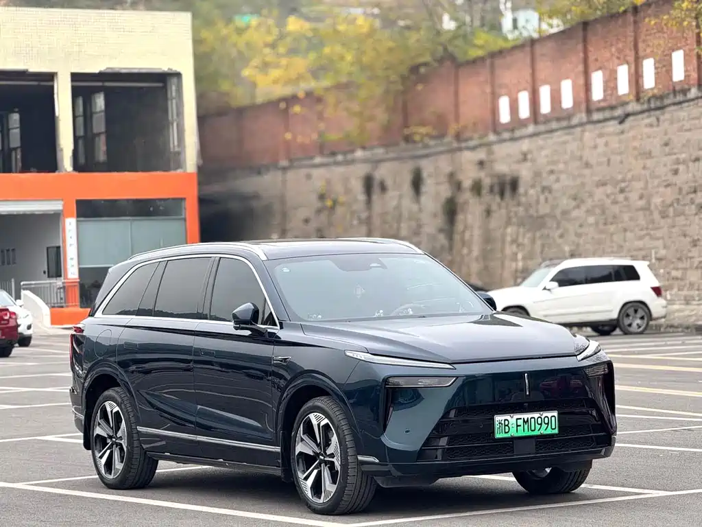 WEI PAI WEI BRAND BLUE MOUNTAIN