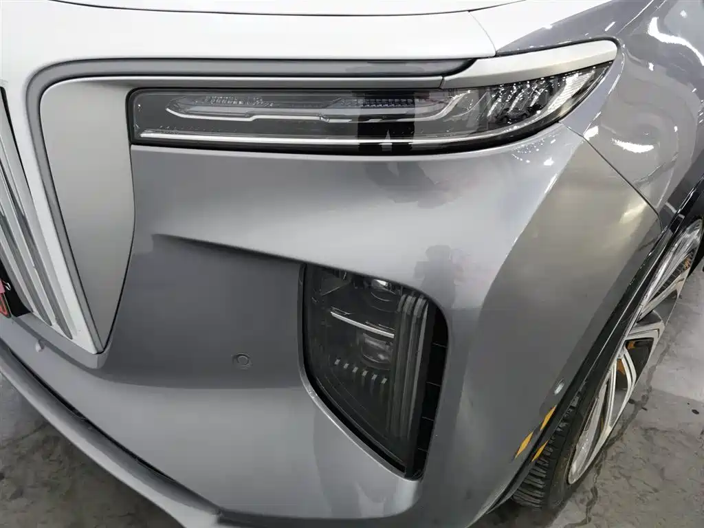 Hongqi E-HS9 2021 510km мест