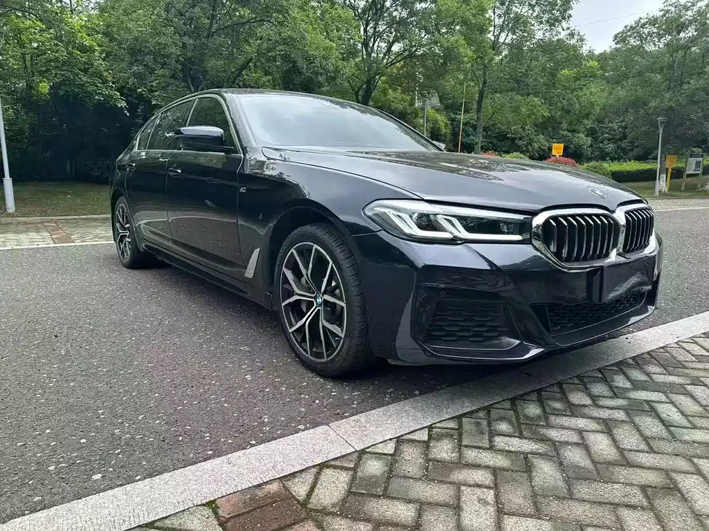 BMW 5 Series 5 2022 530Li Premium M Sport