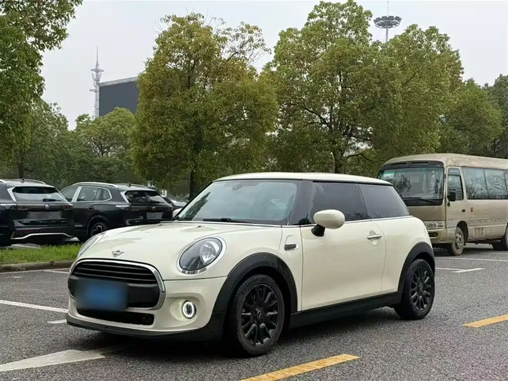 Mini Mini 2019