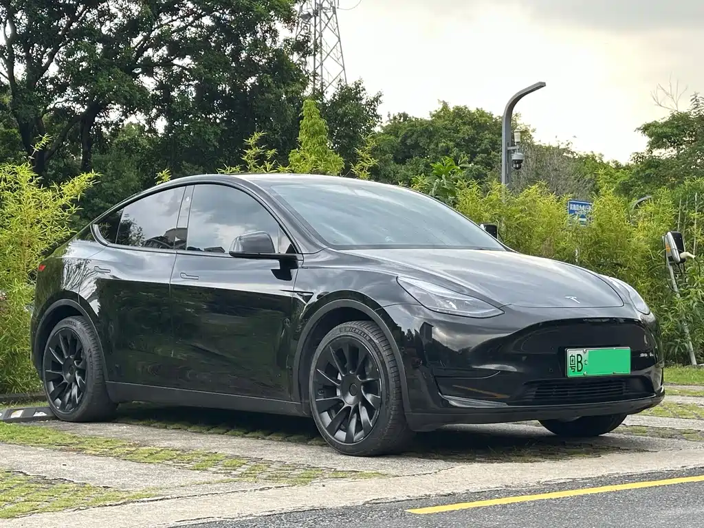 Tesla Model Y — миниатюра 3