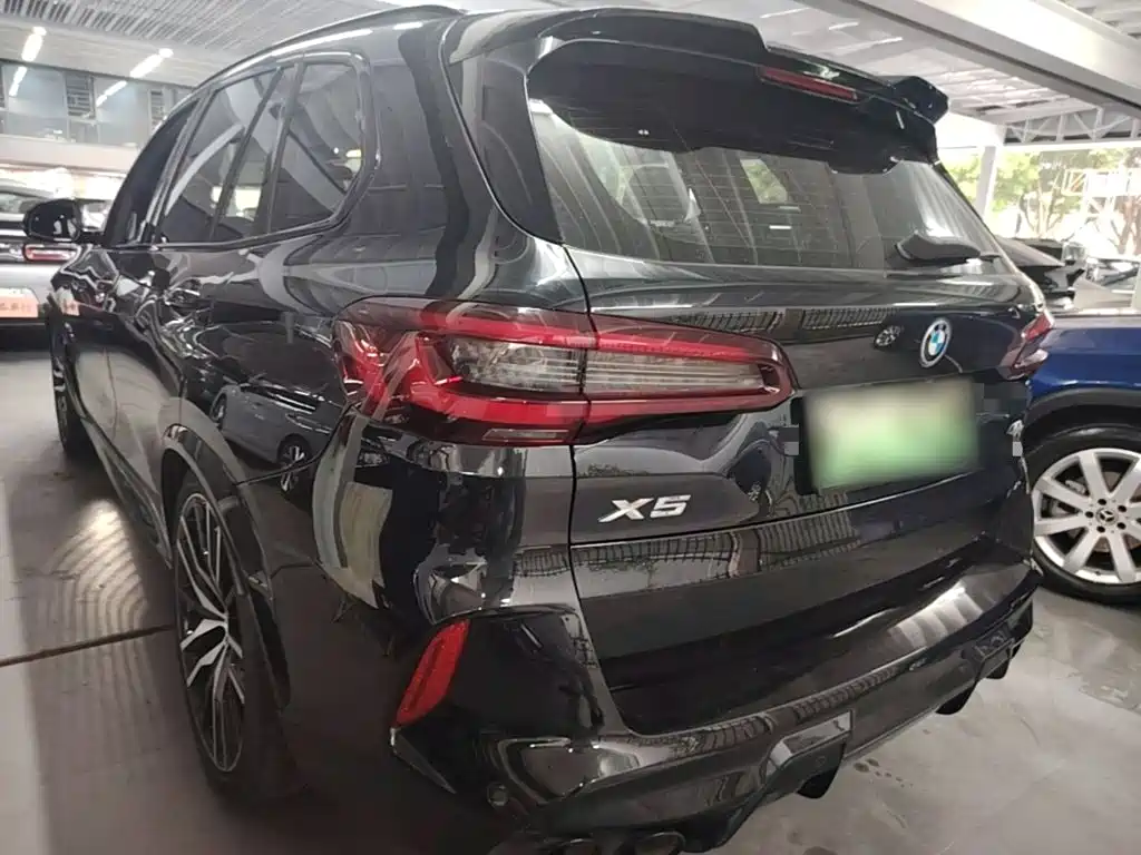 BMW X5 New Energy (Import) — миниатюра 5
