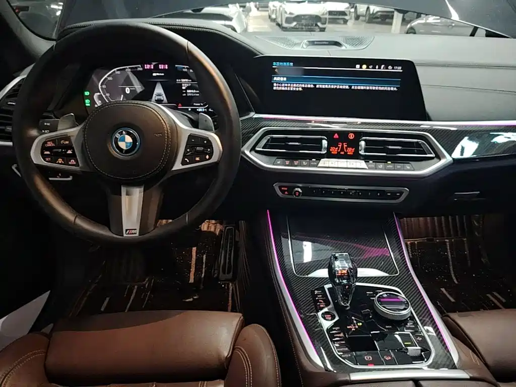 BMW X5 New Energy (Import) — миниатюра 10