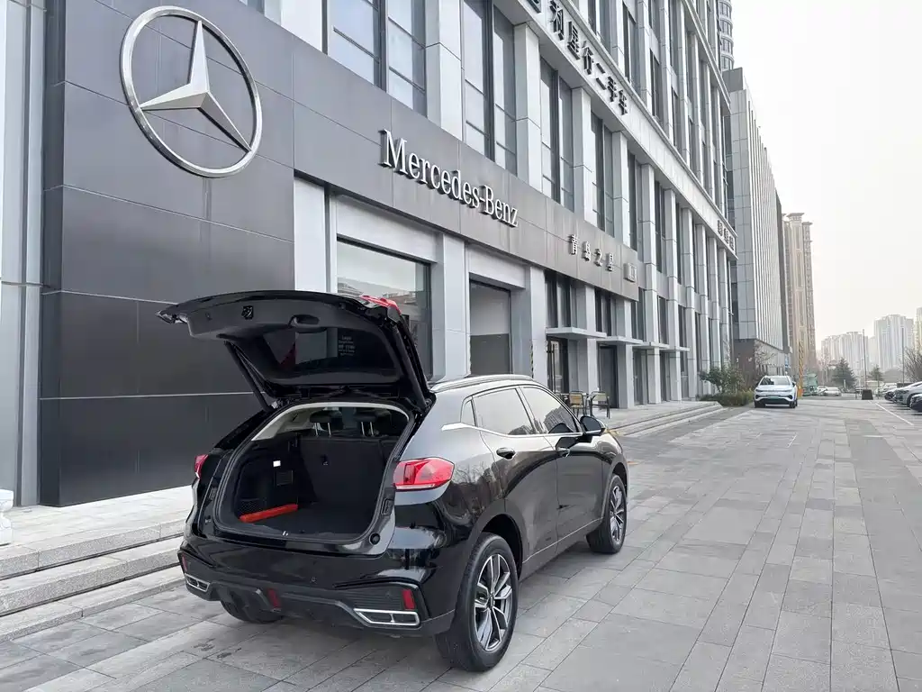 WEI PAI WEI BRAND VV5