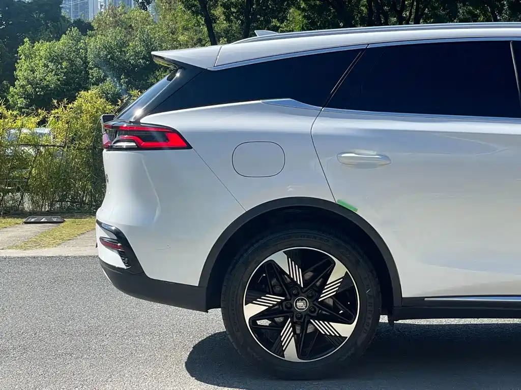 BYD Tang PHEV 2023 — фото 25
