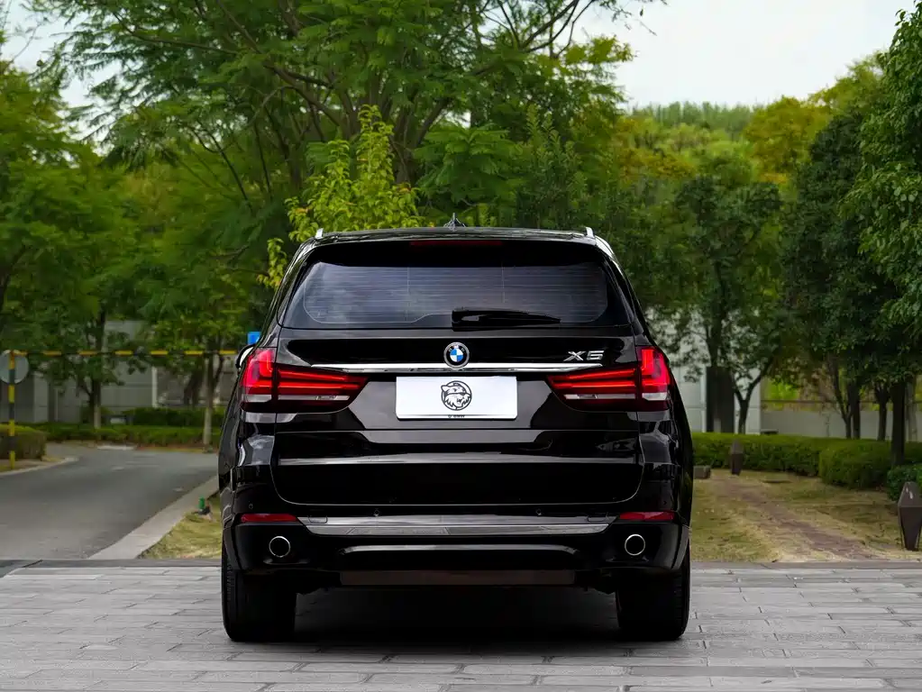 BMW X5 (Import) — миниатюра 11
