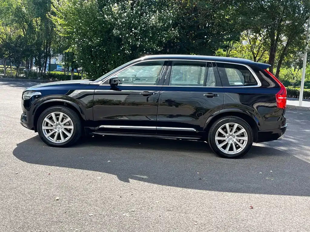 Volvo XC90 — миниатюра 3