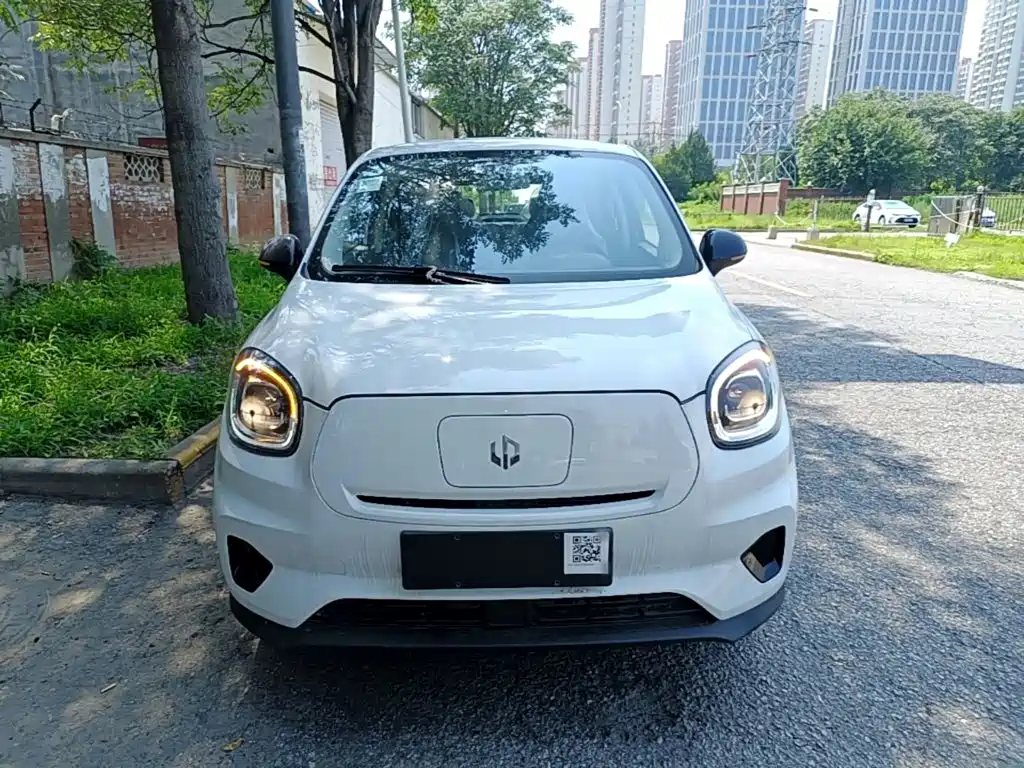 Leapmotor T03 2025 310